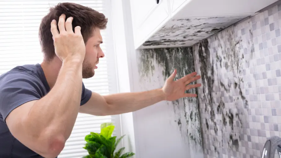 How To Fix Mold In Your San Antonio Home: A Comprehensive Guide